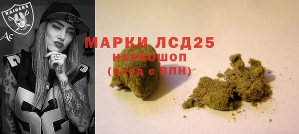 сатива Гусиноозёрск