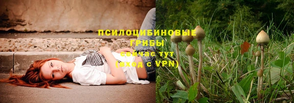дмт Дмитриев