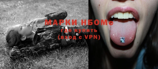 амф Гусь-Хрустальный